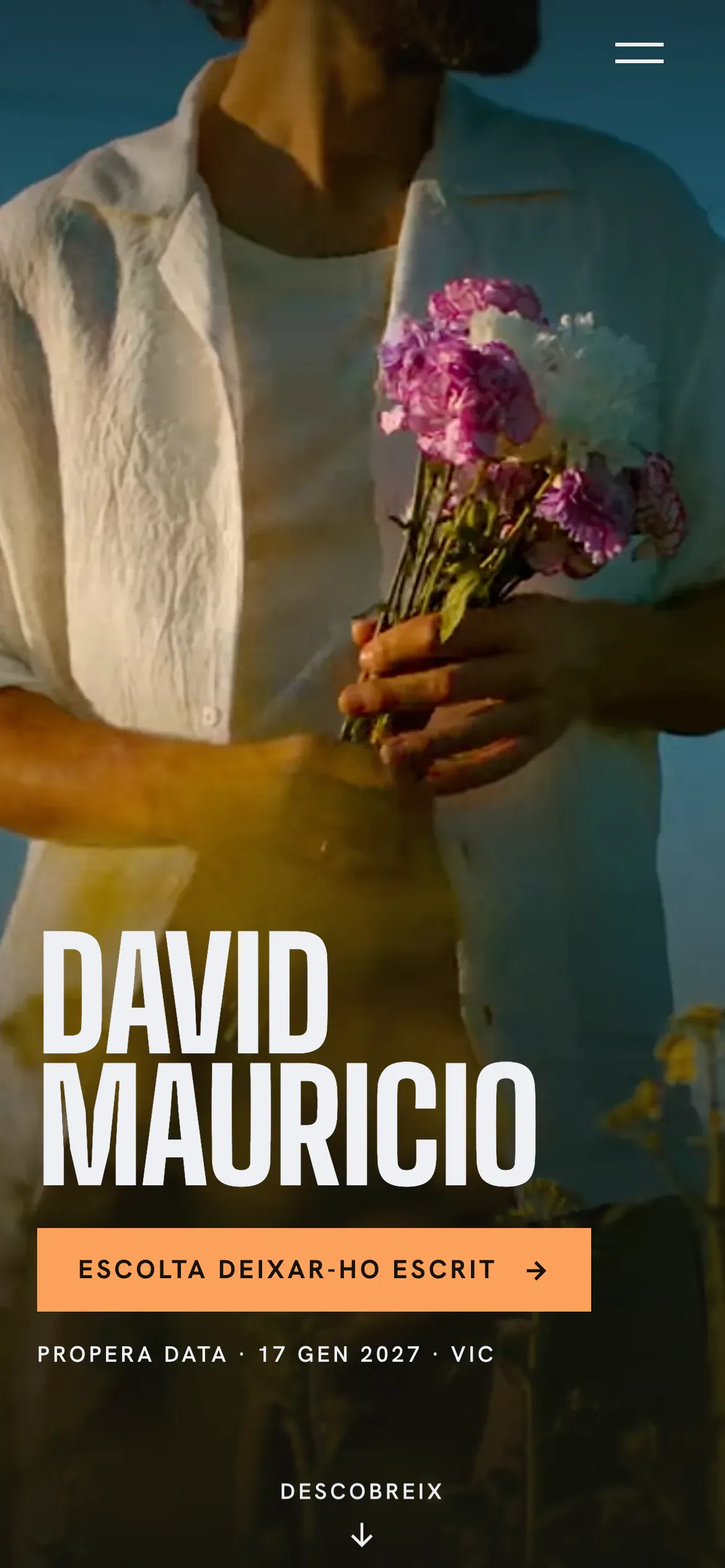 Screenshot of the David Mauricio website on mobile