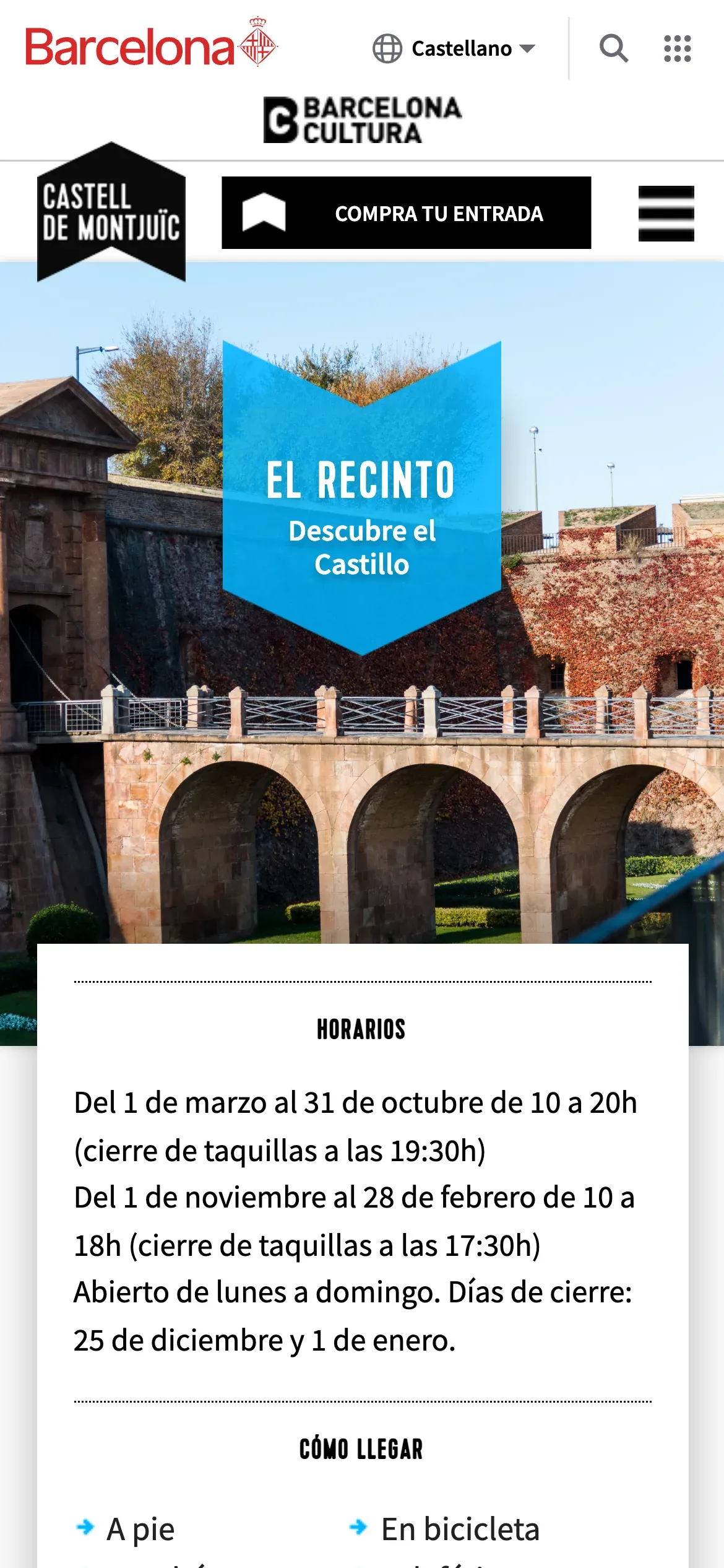 Screenshot of the Grafits website on mobile