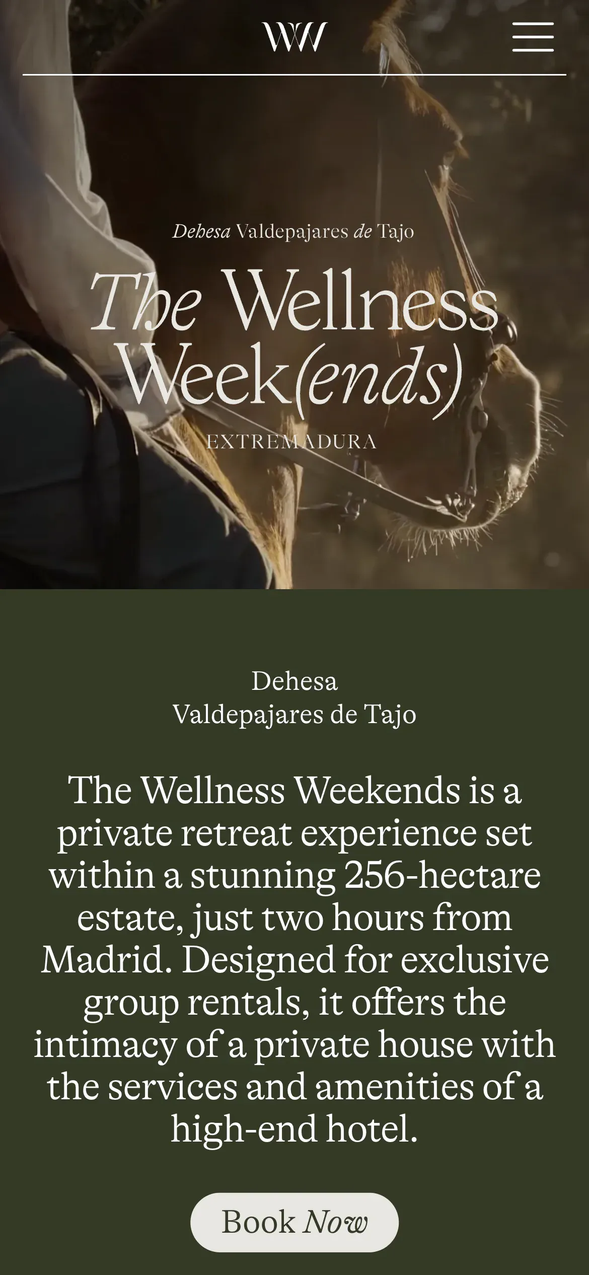 Screenshot of the The Wellness Week(ends) website on mobile