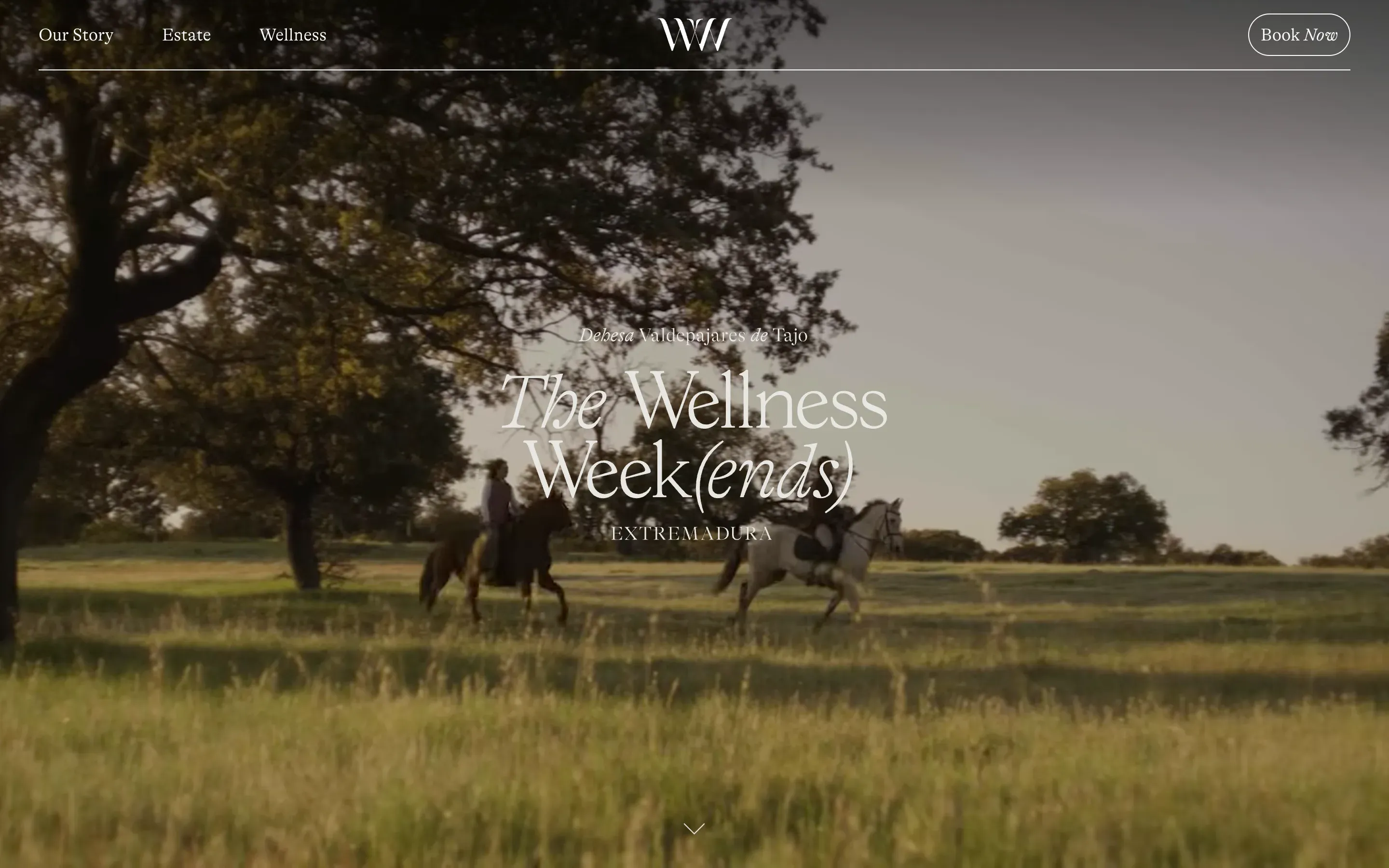 Screenshot of the The Wellness Week(ends) website on desktop