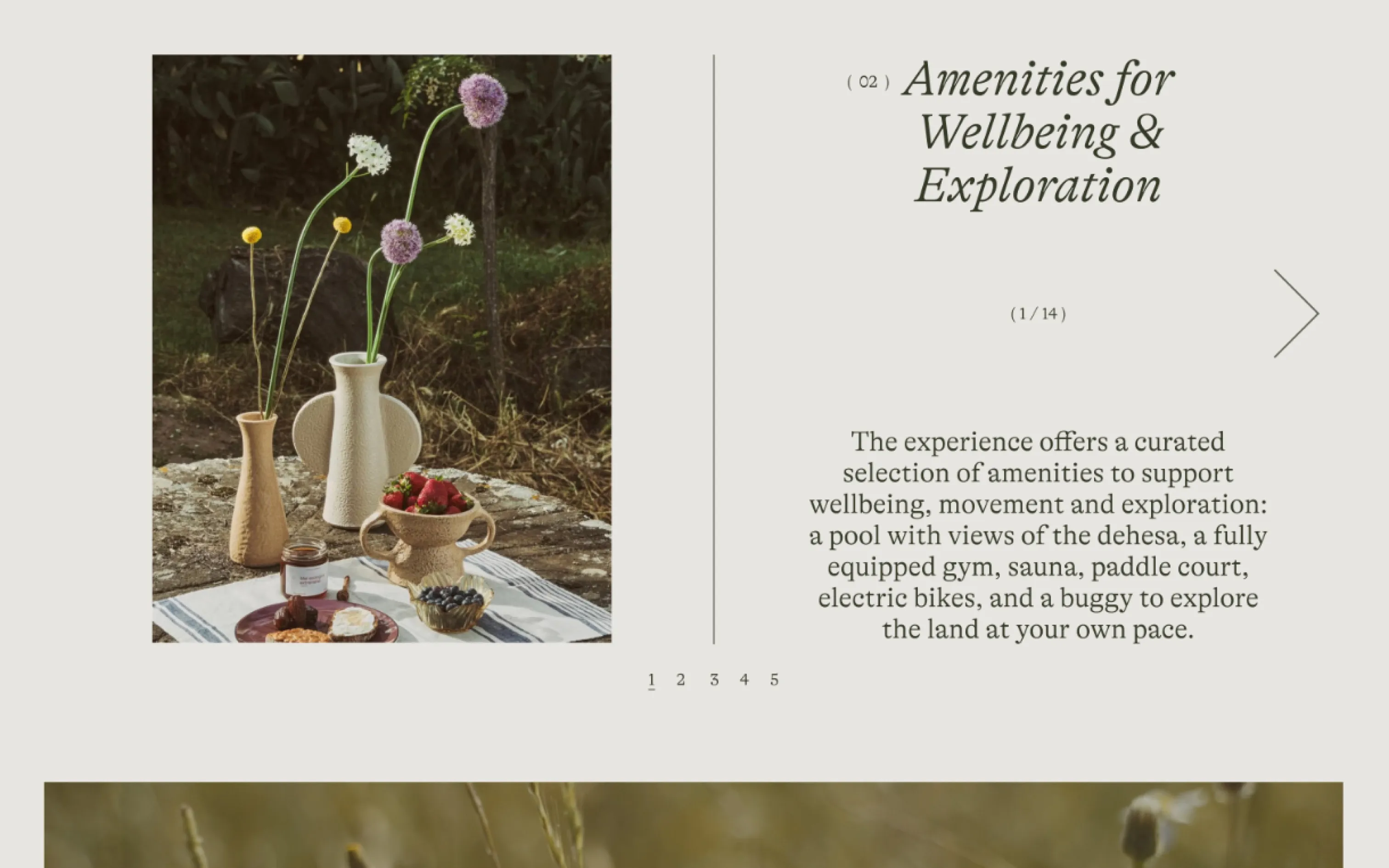 The Wellness Week(ends) amenities page with an outdoor breakfast table and wellbeing activities